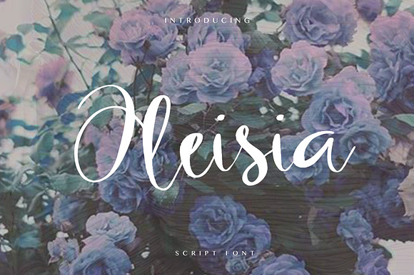 OLEISIA SCRIPT in Script Fonts - product preview 5