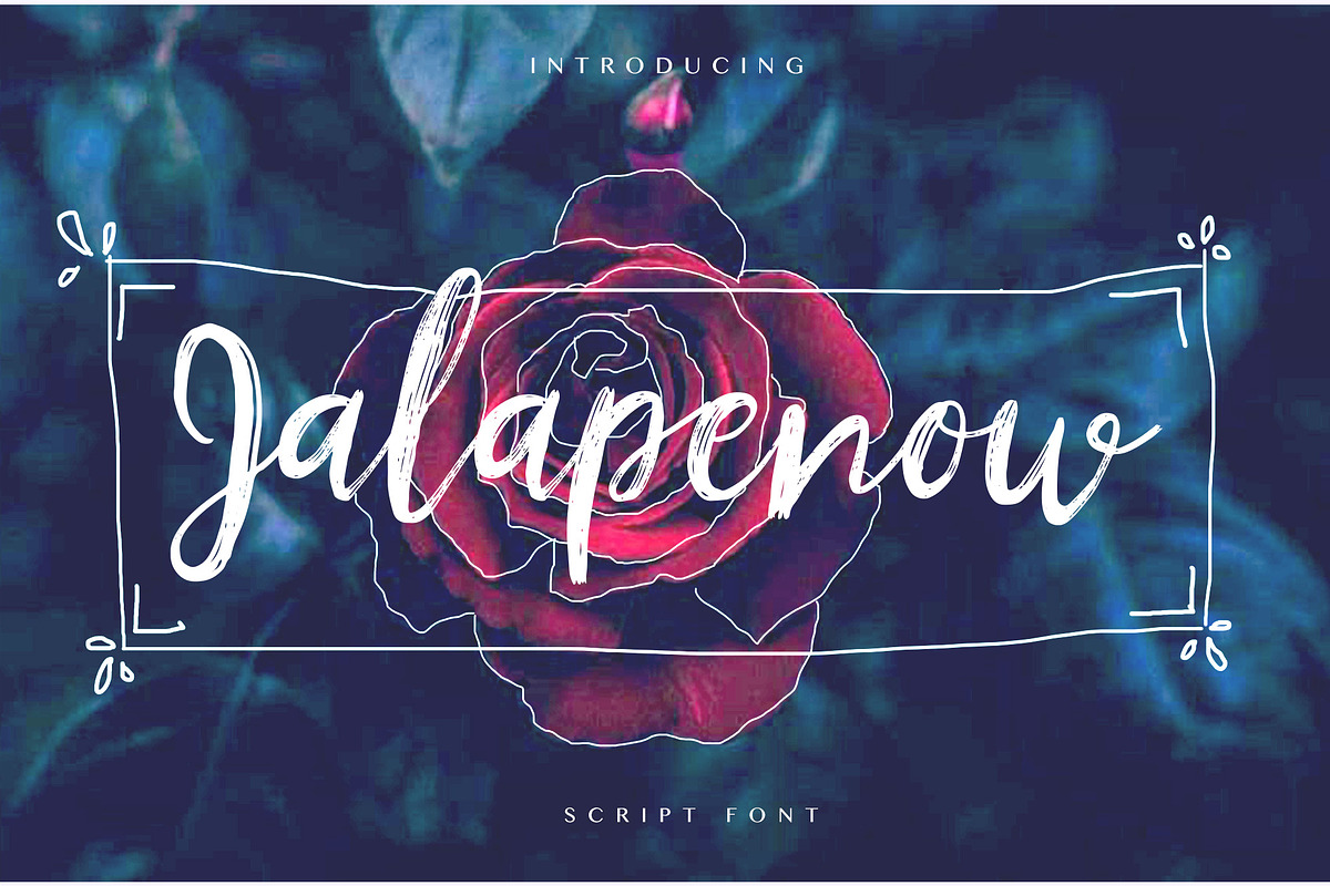 Jalapenow Brush Font in Script Fonts - product preview 8