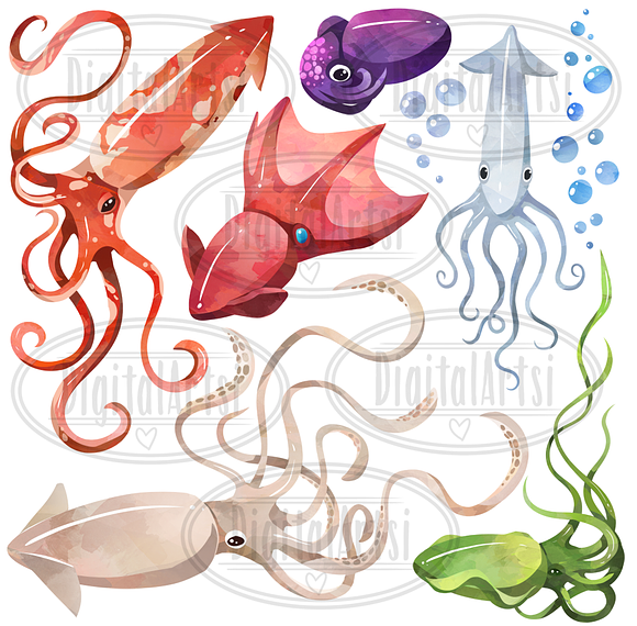 Watercolor Squids Clipart in Illustrations - product preview 1