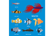 Exotic tropical aquarium fish different colors underwater ocean species aquatic nature flat vector illustration
