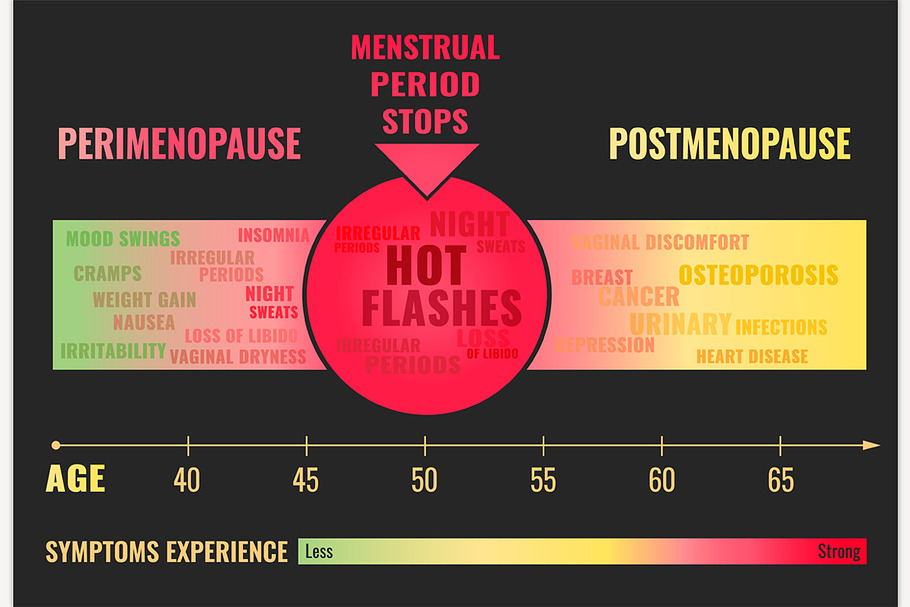 Stages of Menopause Poster in Illustrations - product preview 8