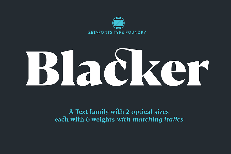 Blacker - 24 fonts in Serif Fonts - product preview 8