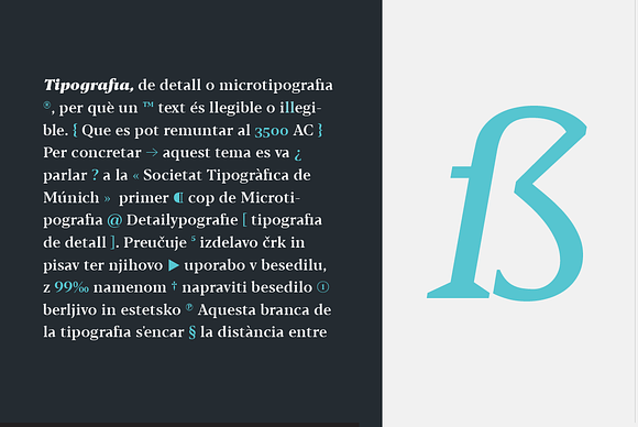 Blacker - 24 fonts in Serif Fonts - product preview 7