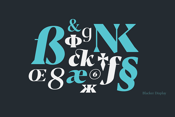 Blacker - 24 fonts in Serif Fonts - product preview 8