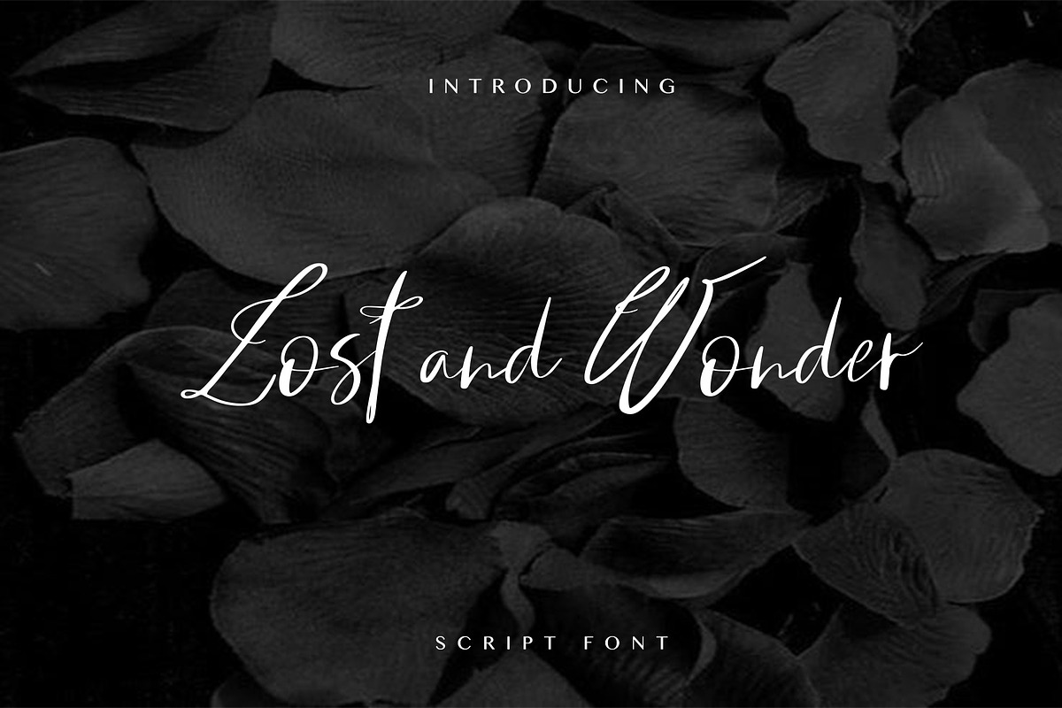 Lost and Wonder Script in Script Fonts - product preview 8
