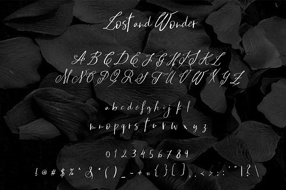 Lost and Wonder Script in Script Fonts - product preview 1
