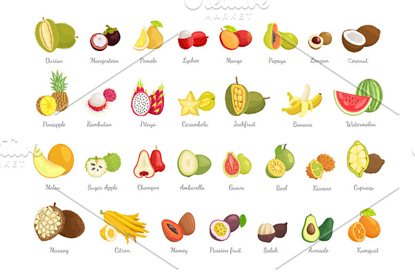 Durian and Mangosteen Set, Vector Illtration
