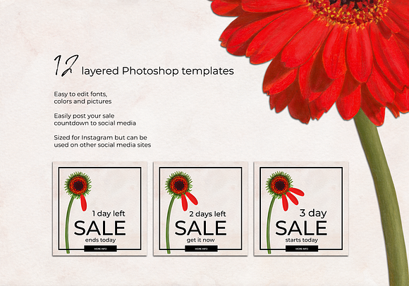 Summer Sale Instagram Pack in Instagram Templates - product preview 3