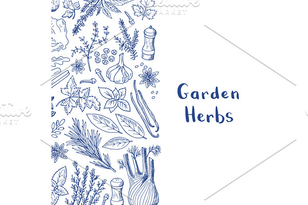 Vector hand drawn herbs and spices background with place for text illustration