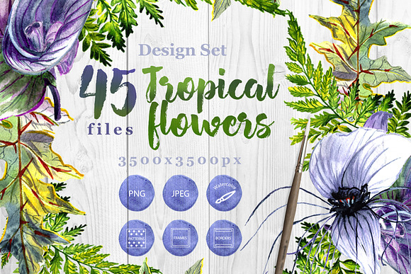 Bundle watercolor flowers 4 products in Illustrations - product preview 1