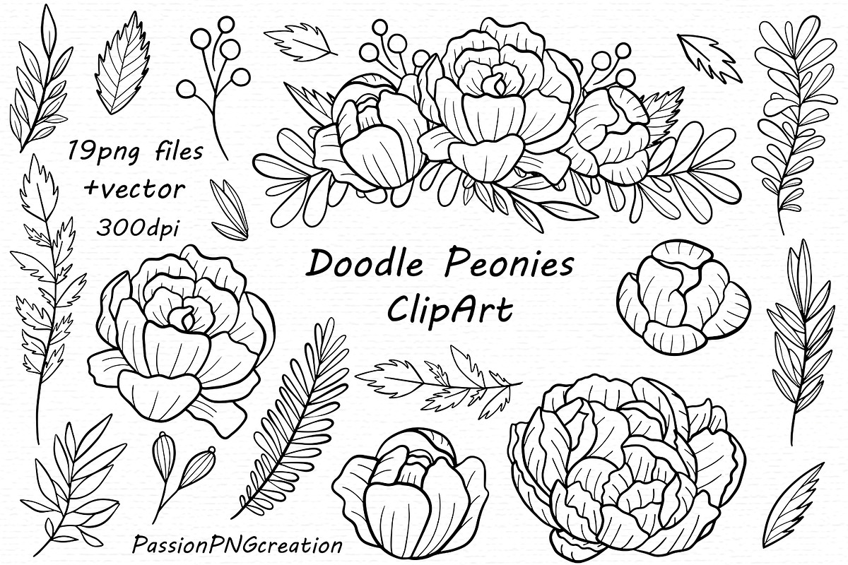 Hand drawn Doodle Peonies Clipart in Illustrations - product preview 8