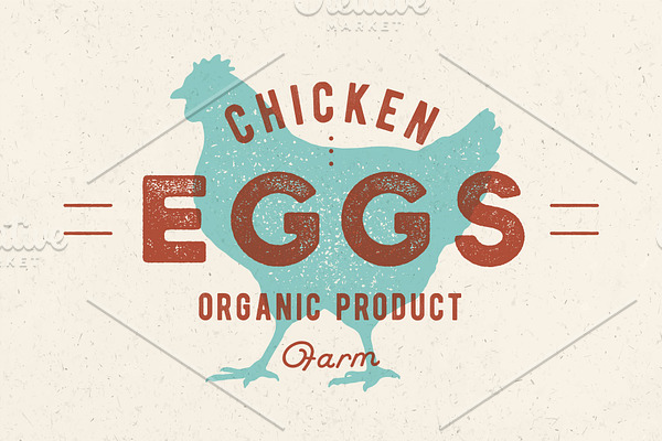 Chicken Eggs. Vintage hand drawn logo