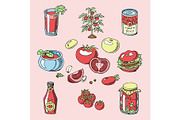 Tomato vector juicy tomatoes food sauce ketchup soup and paste with fresh red vegetables illustration organic ingridients for vegetarians diet set isolated on background