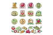 Vegetables logo vector healthy vegetably logotype tomato and carrot for vegetarians organic food in grocery shop illustration vegetated badges set isolated on white background