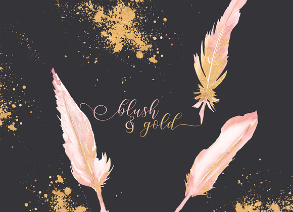 Blush & Gold Feather Clipart in Illustrations - product preview 1