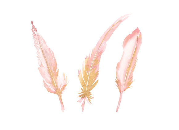 Blush & Gold Feather Clipart in Illustrations - product preview 2