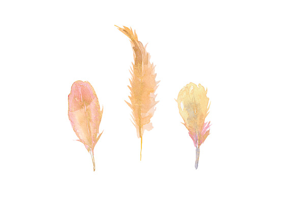 Blush & Gold Feather Clipart in Illustrations - product preview 3