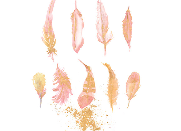 Blush & Gold Feather Clipart in Illustrations - product preview 4