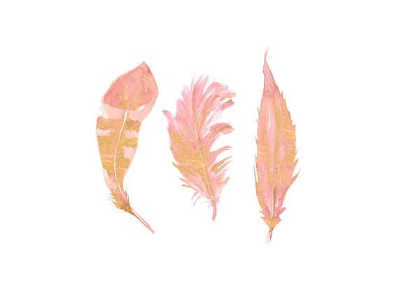 Blush & Gold Feather Clipart in Illustrations - product preview 5
