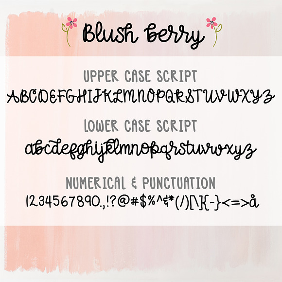 Blush Berry Font Duo - Hand Lettered in Script Fonts - product preview 4