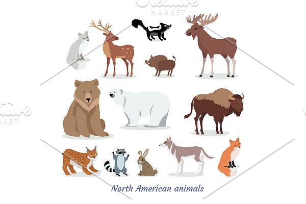 North American Animals Cartoon Flat Icons Set 