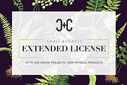 Extended Use Licence