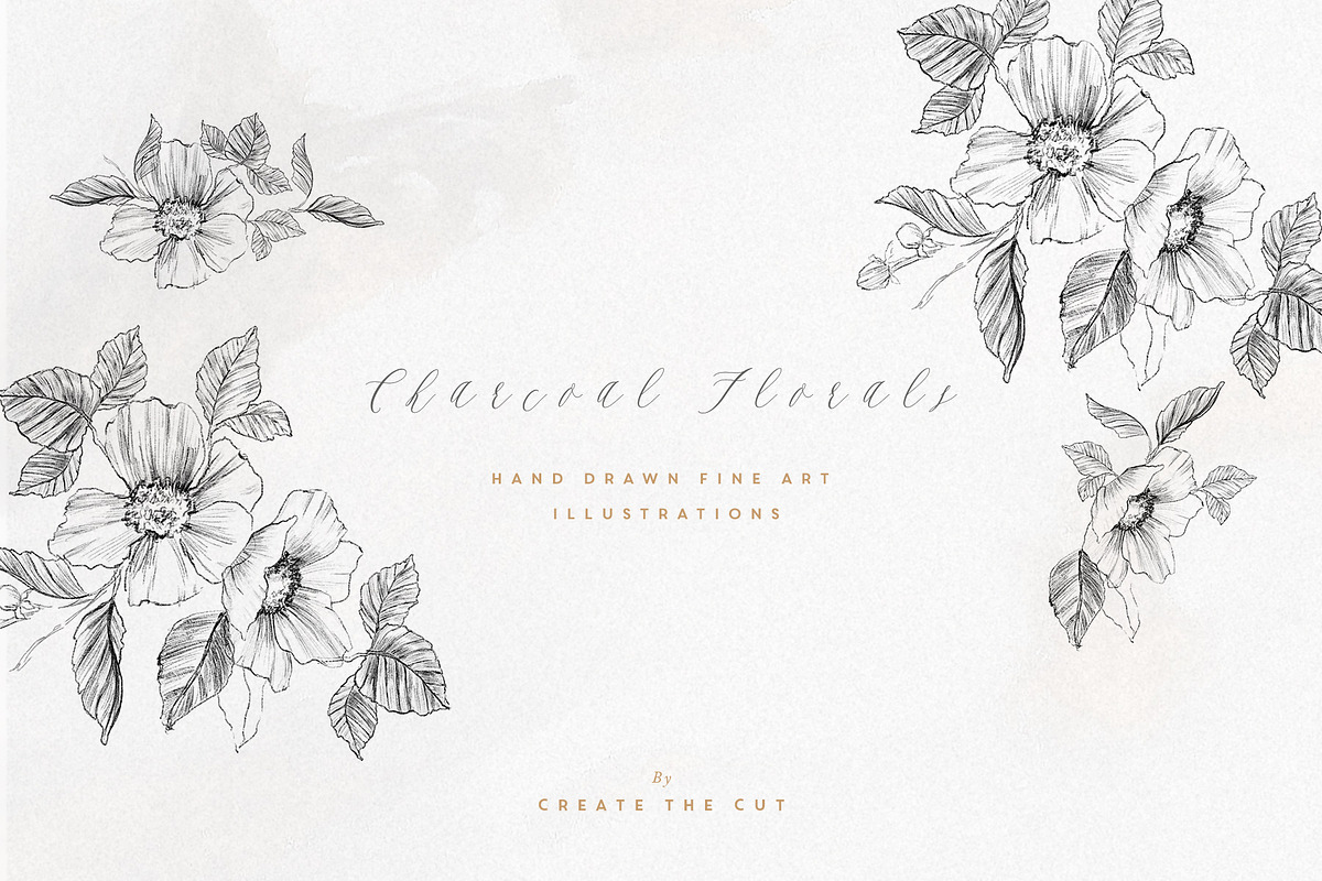 Charcoal Florals in Illustrations - product preview 8