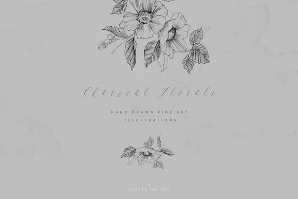 Charcoal Florals in Illustrations - product preview 1