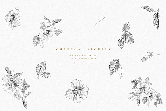 Charcoal Florals in Illustrations - product preview 2