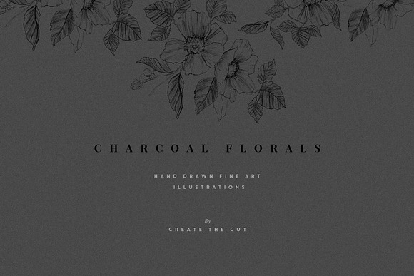 Charcoal Florals in Illustrations - product preview 3