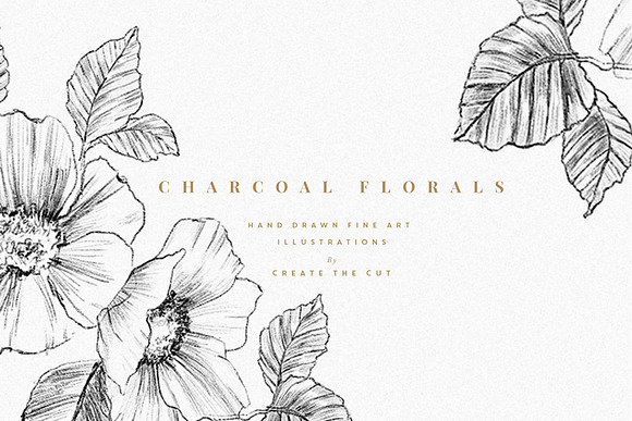 Charcoal Florals in Illustrations - product preview 4