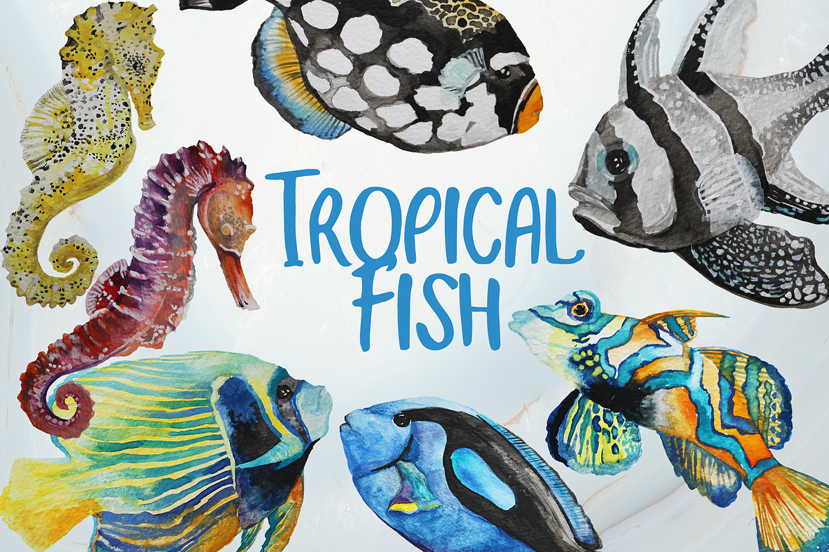 Tropical Fish - Watercolor clip art in Illustrations - product preview 8