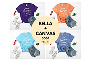 Bella Canvas 3001 Mockup Bundle V14