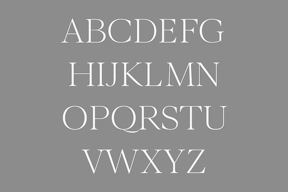 Wensley Modern Serif Font Family in Serif Fonts - product preview 2