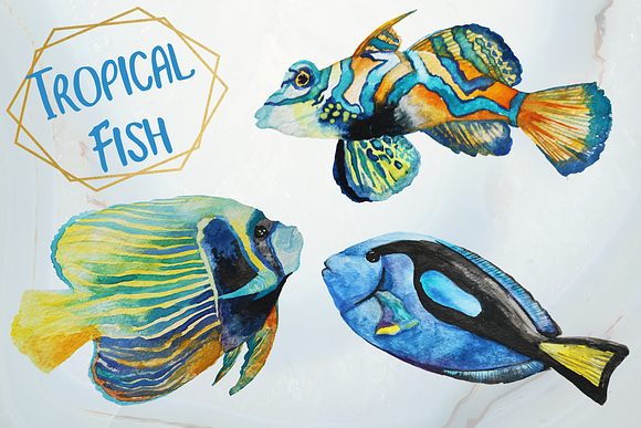 Tropical Fish - Watercolor clip art in Illustrations - product preview 1