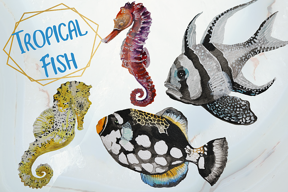 Tropical Fish - Watercolor clip art in Illustrations - product preview 2