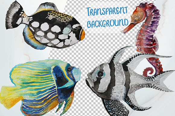 Tropical Fish - Watercolor clip art in Illustrations - product preview 3