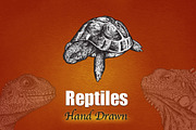 REPTILES - Hand Drawn
