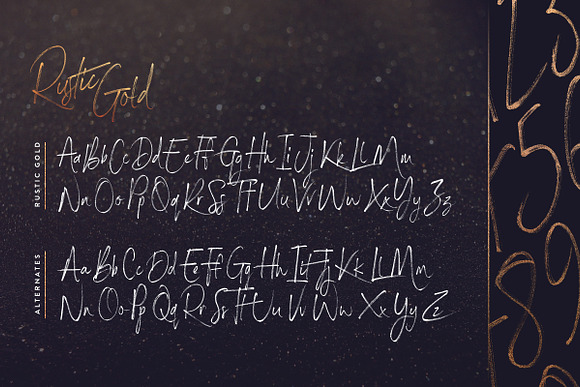 Rustic Gold SVG Brush Script in Brush Fonts - product preview 6