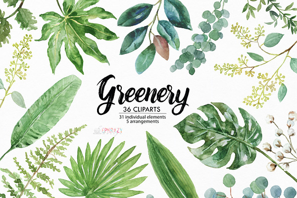 Greenery watercolor clipart