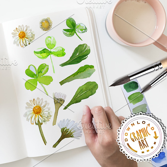 Daisies Bouquet Clipart Watercolor  in Illustrations - product preview 4