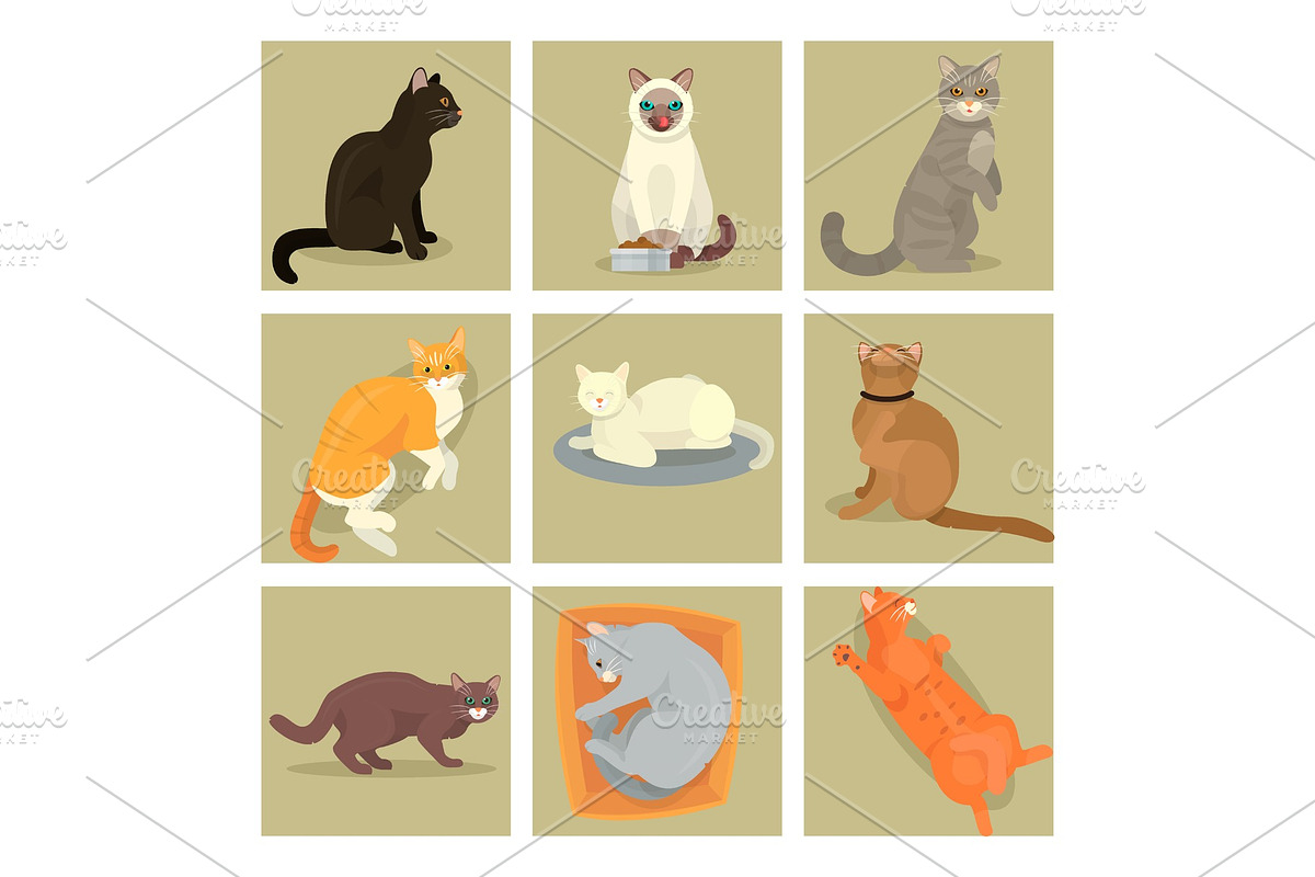 Different cat banners cards cute kitty pet cartoon cute animal cattish character set catlike illustration in Illustrations - product preview 8