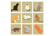 Different cat banners cards cute kitty pet cartoon cute animal cattish character set catlike illustration