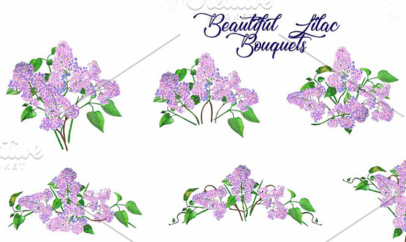 Lilac Spring Bouquets in Illustrations - product preview 3