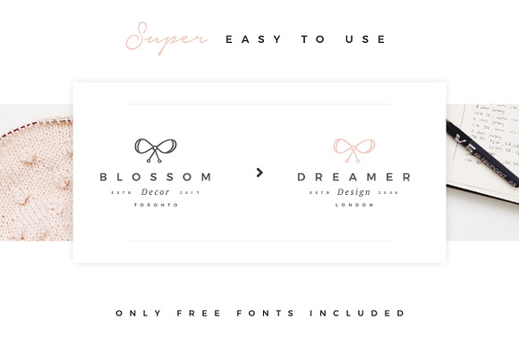 100 Delicate Feminine Logos in Logo Templates - product preview 3