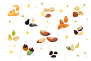 Set nuts. Vector illustration