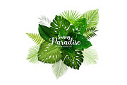 Summer tropical poster with green leaf of palm