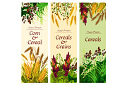 Cereal, grain and vegetable banner of healthy food