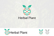 Herbal Medicine Plant Logo