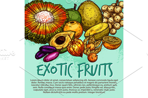 Exotic fruit and tropical berry sketch poster